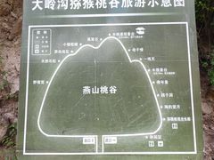 -大岭沟猕猴桃谷风景区