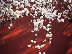 -钱王祠