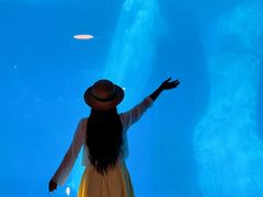 -海合安武汉极地海洋公园