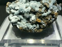 -湖南省地质博物馆