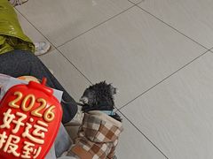 -美联众合动物医院·24h京西诊疗中心