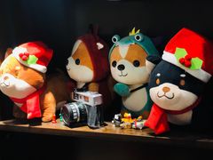 -逗柴咖啡屋·狗咖猫咖宠物桌游