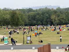 -盘龙城遗址博物院