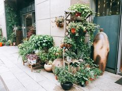 -伊斯坦布尔土耳其清真咖啡餐厅