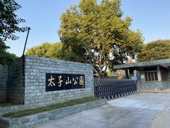 -太子山公园(园东路)