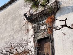 -广富林郊野公园