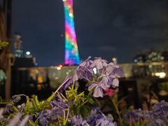-小茶闲舍·观景商务茶馆(广州塔店)
