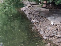 -宗角禄康公园