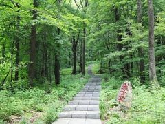 -帽儿山国家森林公园