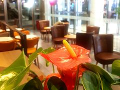-COSTA COFFEE(水游城店)