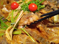 -老板恋上鱼(恒隆广场店)