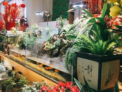 -梦之城购物中心