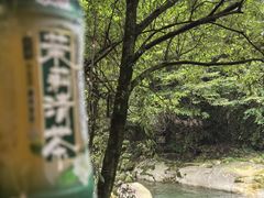 -大鄣山卧龙谷景区
