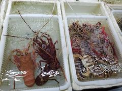 -外伶仃岛海鲜市场