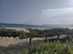 -渔家火锅·海鲜自助餐·演艺(亚龙湾天域酒店)