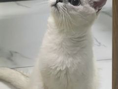 -嘉馨宠物医院·CT影像转诊·心脏科·犬猫全科诊疗中心(下沙大学城院区)
