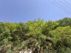 -抱龙峪