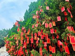 -莆田湄洲妈祖祖庙