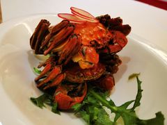 -欣旺·迎宾楼·百年无锡菜