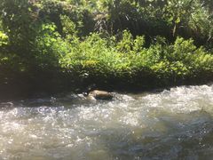 -千岛湖王子谷漂流