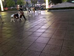 -汇德隆银隆