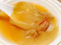 古法鸡煲翅-陶陶居海鲜酒家(新马路店)