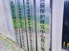 -都江堰中华大熊猫苑