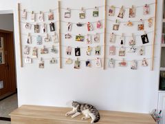 -有猫儿腻咖啡厅.猫咖