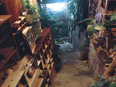 -懒鱼时光馆(沙坪坝店)