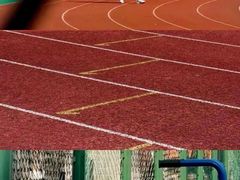 -四川农业大学(雅安校区)