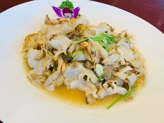 葱爆海螺片-牟传仁饭庄(星海店)
