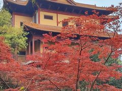 -南京市江宁方山