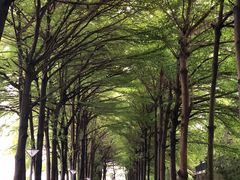 -广州国际生物岛