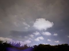 -小李少爷临沂炒鸡(升平东路店)