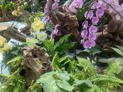 -石家庄市植物园