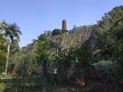 -南沙蒲洲花园