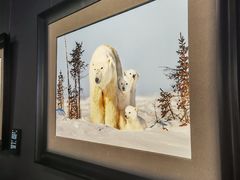 -罗红摄影艺术馆