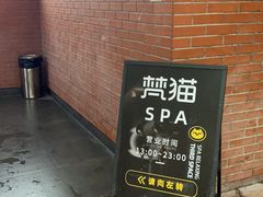 -梵猫·新养生(加州广场店)