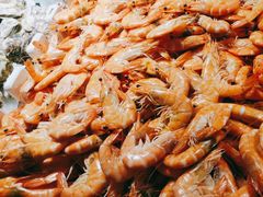 -星伦多 自助料理(圆融店)