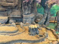 -横道河子东北虎林园