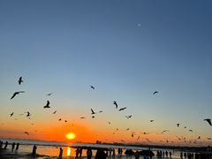 -老虎石海上公园