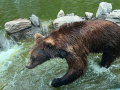 -北京野生动物园