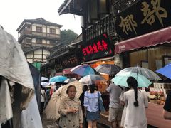 -胖娃古镇鸡杂(磁器口总店)