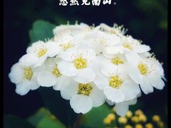 -西湖风景区-江洋畈生态公园