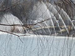-郑州植物园