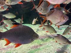 -太平洋海底世界