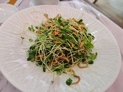 -喜鼎海胆水饺(平安金融中心店)