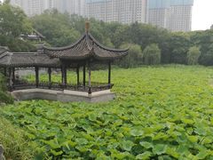 -高子水居