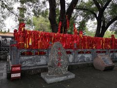-大槐树寻根祭祖园