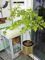 点击看大图 -LJOY丽锦造型·烫发染发